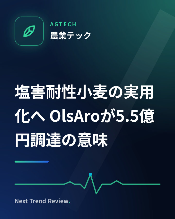 塩害耐性小麦の実用化へ OlsAroが5.5億円調達の意味